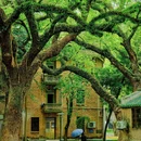 中山大学(广州校区南校园)北门广场 - 广州市旅游 缩略图 1