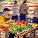 雷挑挑重庆市井火锅串串 - 上海市旅游 缩略图 7