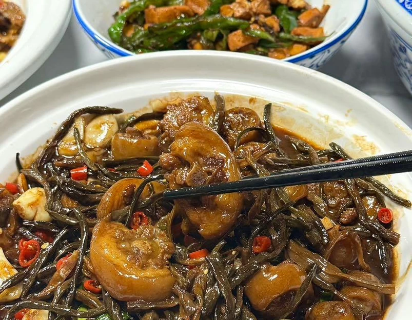 合肥植物园 - 合肥市旅游 1