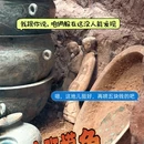 徐州博物馆 - 徐州旅游 缩略图 9