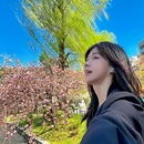 东京 - 日本旅游 缩略图 2