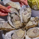 鱼家王·中山脆肉鲩火锅·商务宴请·聚餐(皇庭广场店) - 深圳市旅游 缩略图 6
