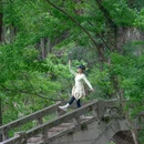 江夏区青龙山国家森林公园 - 武汉市旅游 缩略图 2