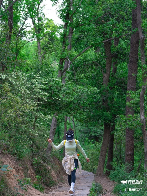 江夏区青龙山国家森林公园 - 武汉市旅游