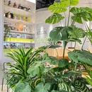 新意小馆(万丰海岸城店) - 深圳市旅游 缩略图 9