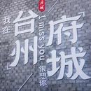 临海古城墙 - 台州市旅游 缩略图 8