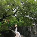 莲花山旅游区 - 广州市旅游 缩略图 5