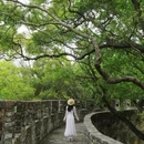 莲花山旅游区 - 广州市旅游 缩略图 7