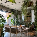 木屿·废墟餐厅 - 丽江市旅游 缩略图 9