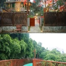 莫干山风景名胜区 - 湖州市旅游 缩略图 3