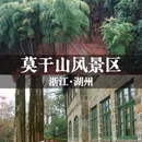 莫干山风景名胜区 - 湖州市旅游 缩略图 1