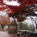 莫干山风景名胜区 - 湖州市旅游 缩略图 5