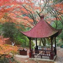 莫干山风景名胜区 - 湖州市旅游 缩略图 6