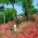 铜陵永泉小镇 - 铜陵市旅游 缩略图 1