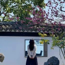 柳浪闻莺 - 杭州市旅游 缩略图 3