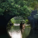 柳浪闻莺 - 杭州市旅游 缩略图 7