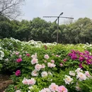 悦泊酒店(洛阳应天门洛邑古城店) - 洛阳市旅游 缩略图 4