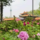 悦泊酒店(洛阳应天门洛邑古城店) - 洛阳市旅游 缩略图 7