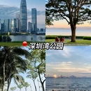 深圳湾公园 - 深圳市旅游 缩略图 6
