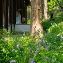 虎丘山风景名胜区 - 苏州旅游 缩略图 4