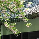 虎丘山风景名胜区 - 苏州旅游 缩略图 1