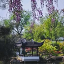 虎丘山风景名胜区 - 苏州旅游 缩略图 7