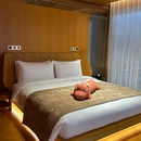 庐江南山君柠野奢温泉度假酒店 - 合肥市旅游 缩略图 6