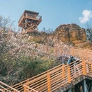 彩色沙林景区 - 曲靖市旅游 缩略图 2