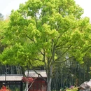 绣山公园 - 温州市旅游 缩略图 7