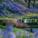 圆明园遗址公园-藻园门 - 北京市旅游 缩略图 8