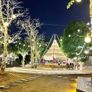 青秀山风景区 - 南宁旅游 缩略图 4
