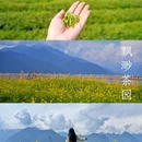 飘渺茶园停车场 - 林芝市旅游 缩略图 1