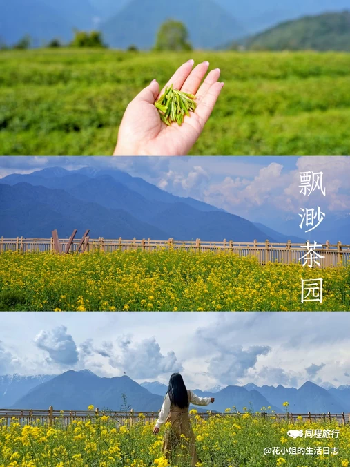 飘渺茶园停车场 - 林芝市旅游
