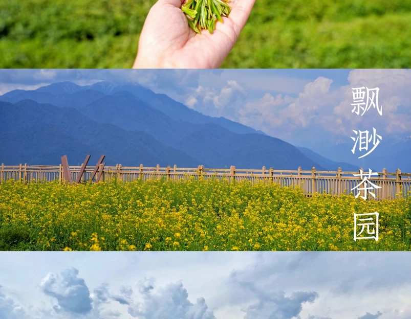 飘渺茶园停车场 - 林芝市旅游 1