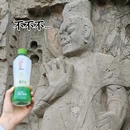 龙门石窟 - 洛阳旅游 缩略图 9