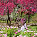 隋唐城遗址植物园 - 洛阳市旅游 缩略图 4