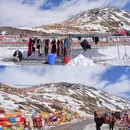 色季拉山口 - 林芝市旅游 缩略图 5