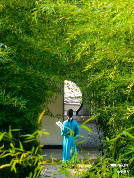 蠡园 - 无锡市旅游