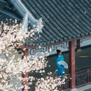 蠡园 - 无锡市旅游 缩略图 8