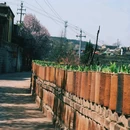 陈炉古镇 - 铜川市旅游 缩略图 5