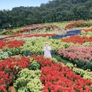 香遇百花园 - 东莞市旅游 缩略图 2