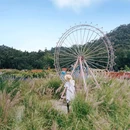 香遇百花园 - 东莞市旅游 缩略图 4