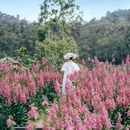香遇百花园 - 东莞市旅游 缩略图 9