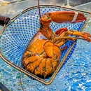 梁富贵·海鲜集市火锅(滨江店) - 宁波市旅游 缩略图 8