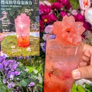 景枫中心 - 南京旅游 缩略图 9
