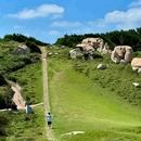 温州南麂岛 - 温州市旅游 缩略图 2
