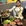 北京市·煤市街