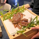上井·旬海铁板烧料理(长嘉汇购物公园店) - 重庆市旅游 缩略图 3