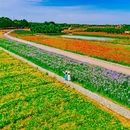 江苏三台山国家森林公园 - 宿迁市旅游 缩略图 2