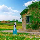 江苏三台山国家森林公园 - 宿迁市旅游 缩略图 4